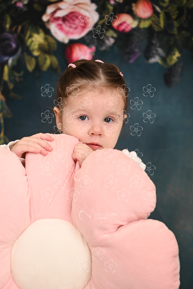 DSC_0342_bolcsi10_5