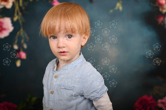 DSC_0450_bolcsi12_2