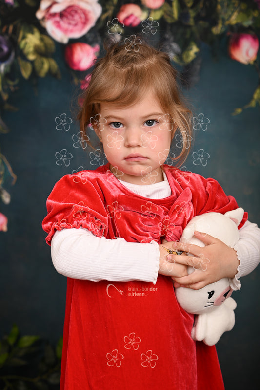 DSC_1026_bolcsi17_10