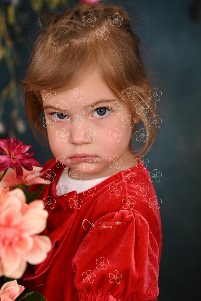 DSC_1039_bolcsi17_15