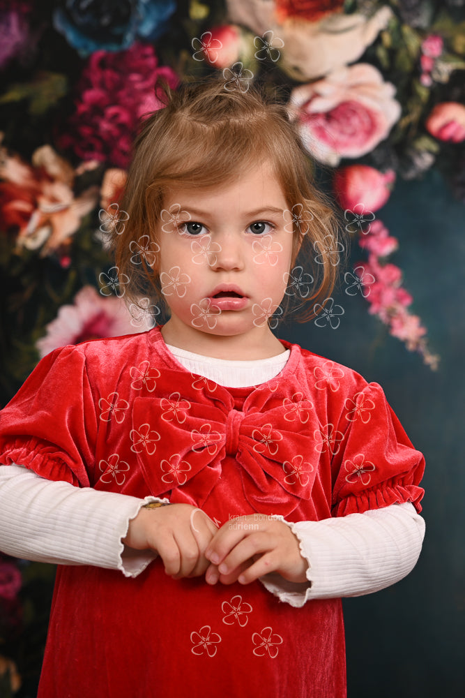 DSC_1048_bolcsi17_16