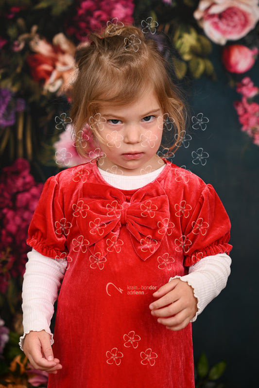 DSC_1063_bolcsi17_18