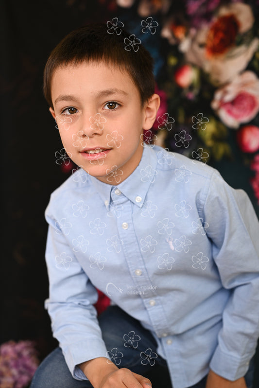 DSC_1253_pillango10_16