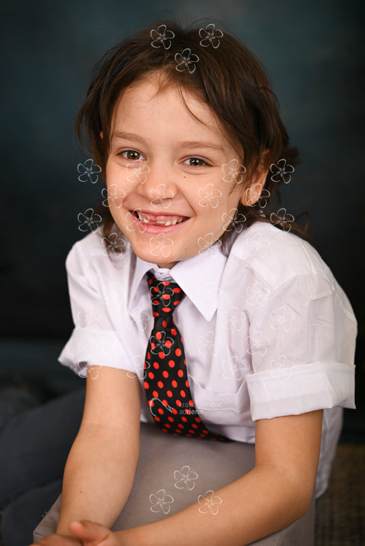 DSC_1461_pillango12_14
