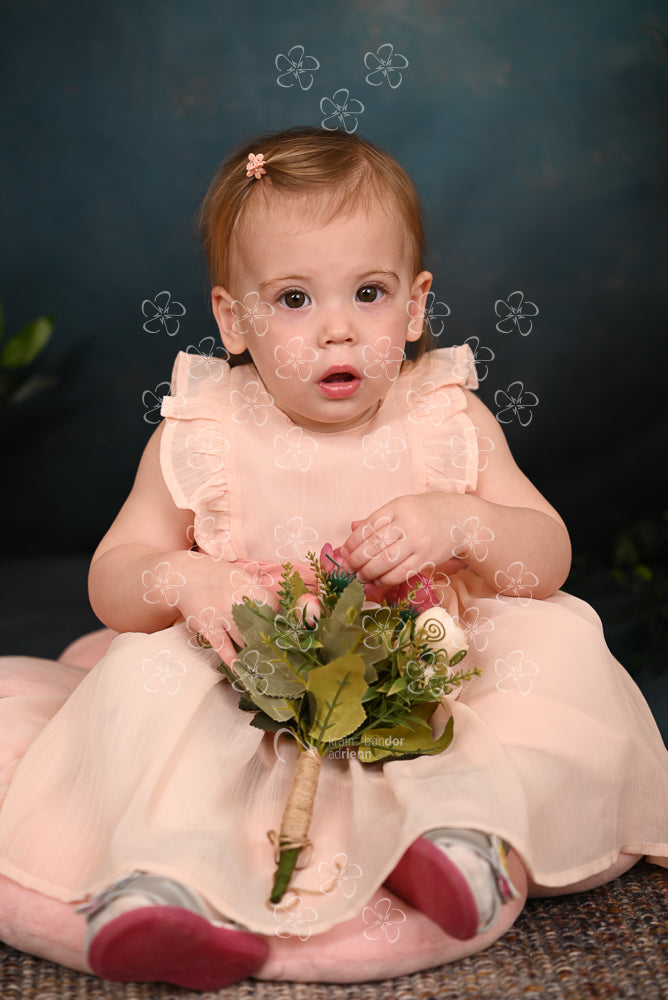 DSC_1578_bolcsi22_1