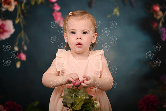 DSC_1579_bolcsi22_2