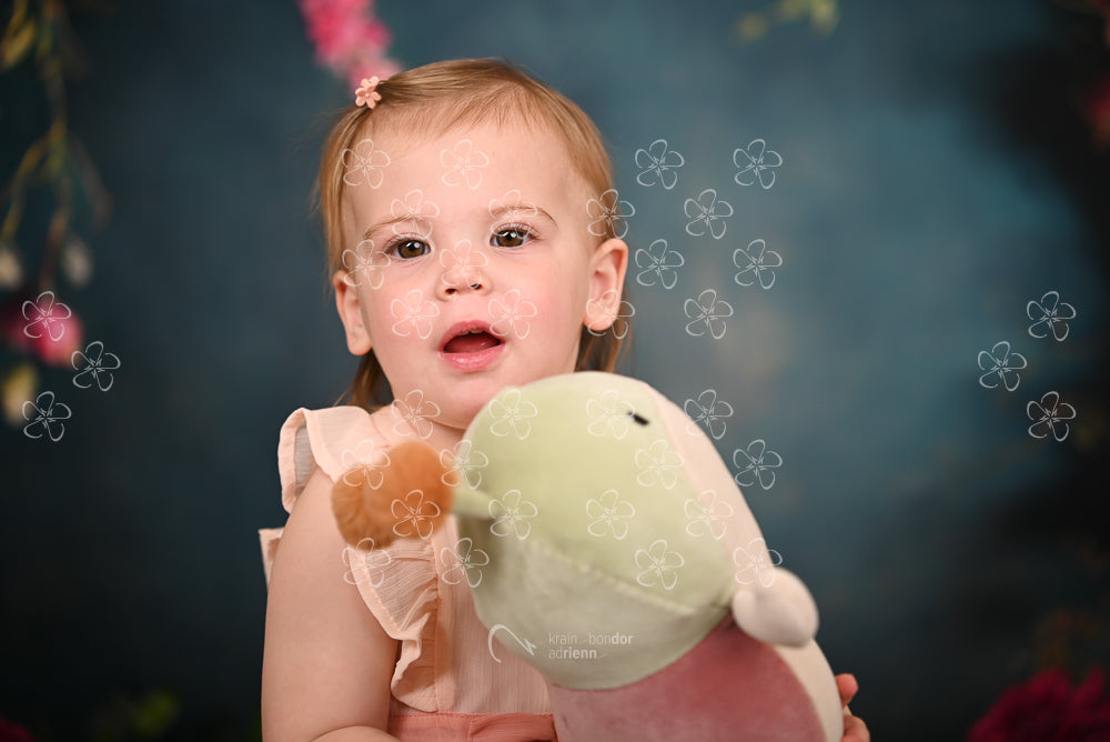 DSC_1594_bolcsi22_6