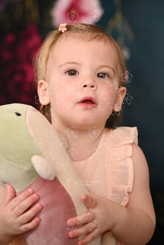 DSC_1597_bolcsi22_8