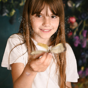 DSC_1639_2a10_8