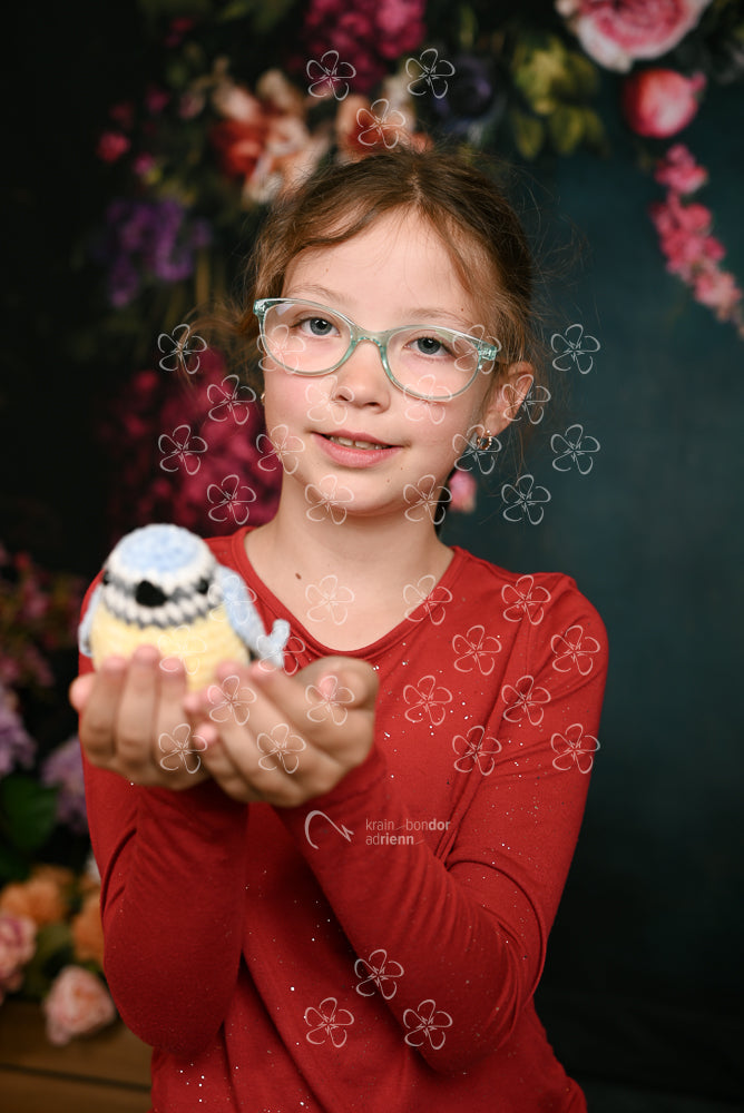 DSC_1799_2a12_18