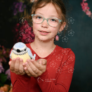 DSC_1799_2a12_18