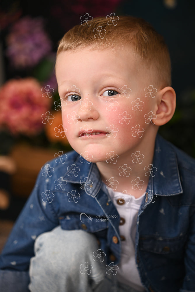 DSC_2399_bolcsi29_5