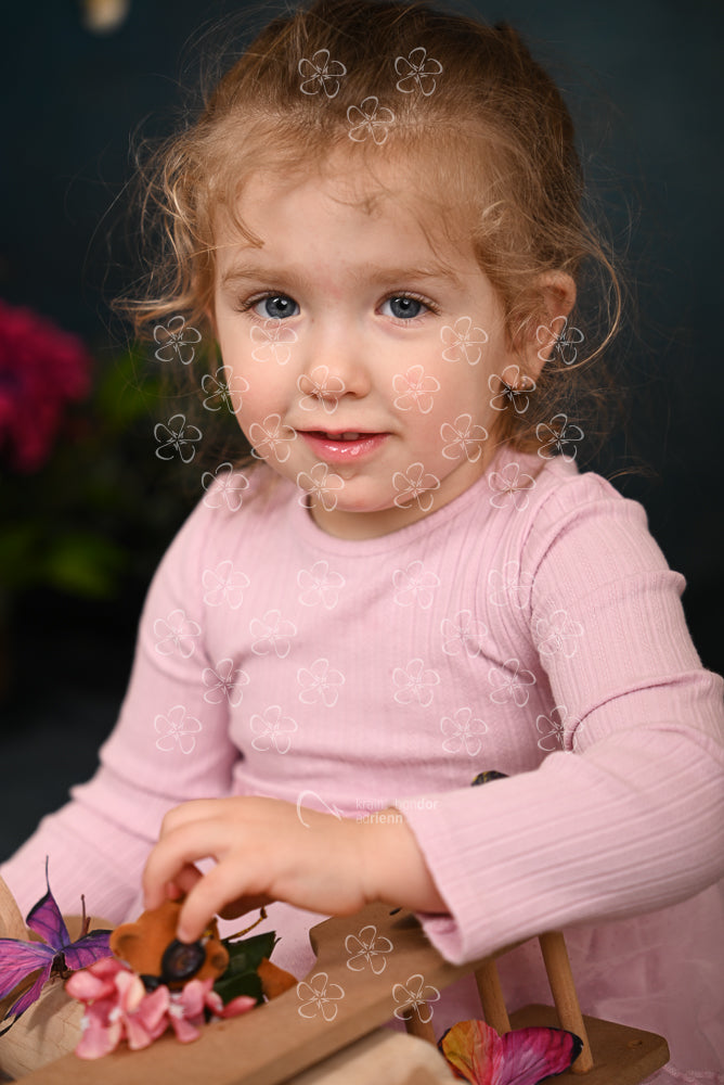DSC_2774_bolcsi31_11