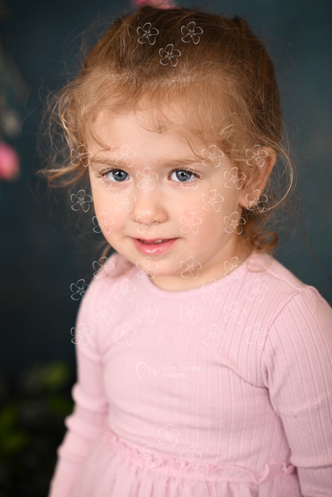DSC_2797_bolcsi31_13