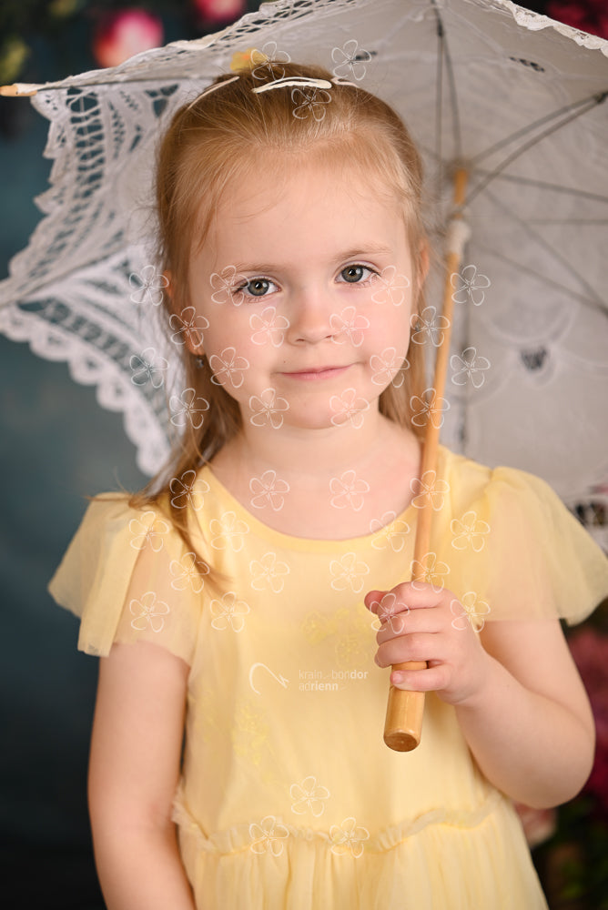 DSC_4087_nyuszi06_6